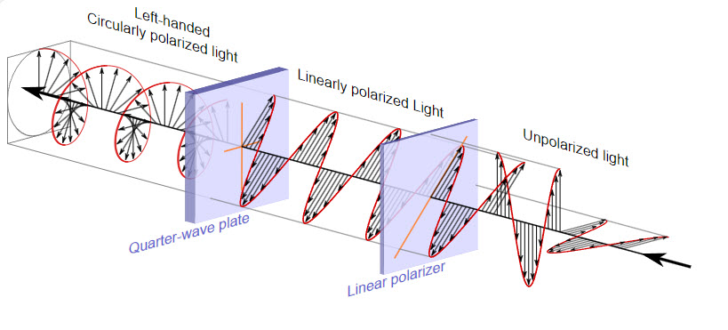 Polarizer